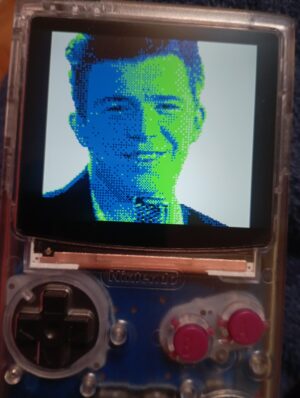 Rick roll prank Nintendo gameboy cartridge with lyrics and pictures of rick astley never gonna give you up